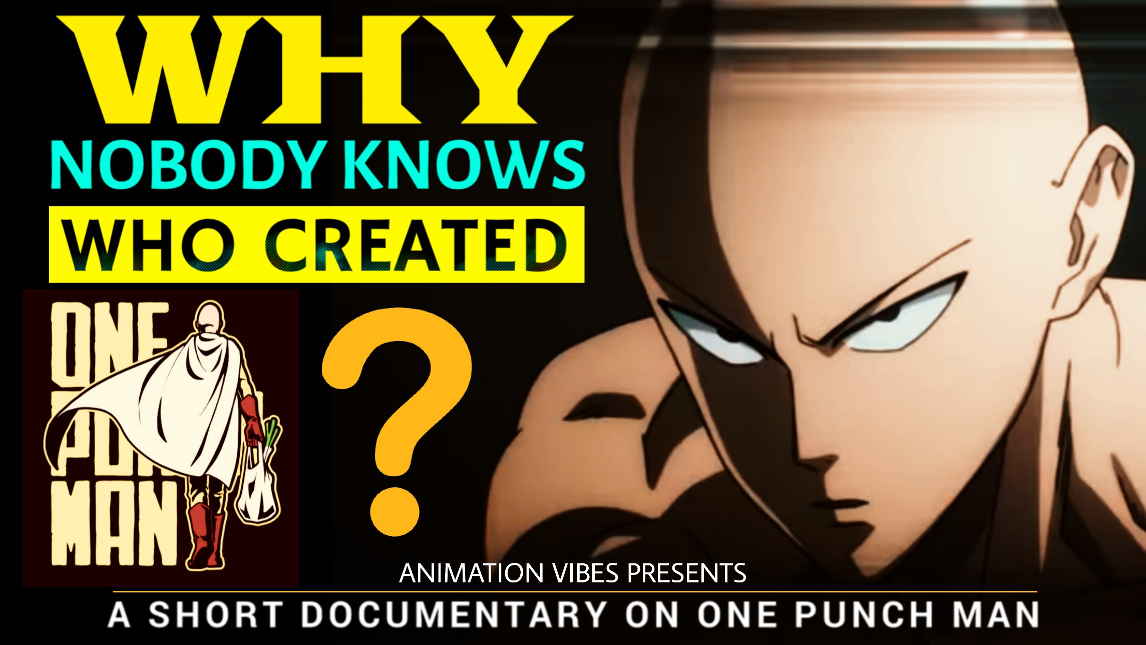 One Punch Man IN Hindi By Animation Vibes