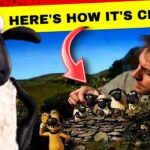Zatchbell Documentary : Everything You Need To Know – The Last Episode!